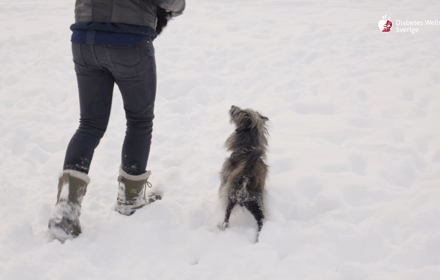 Skärmbild (594) (1)