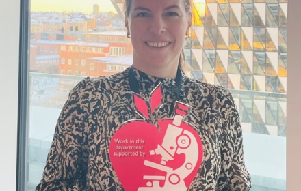 Skärmbild (316)1 (1)