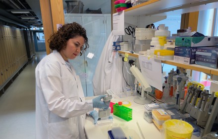 Sevdagheibi Foto Petraolsson