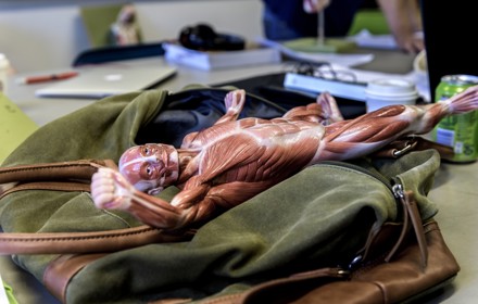 Medicinskafakulteten,Bmcruona