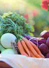 Vegetables In A Basket